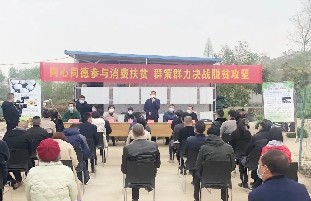 湖北种植甘蔗致富_湖北甘蔗种植技术_湖北甘蔗叫什么名