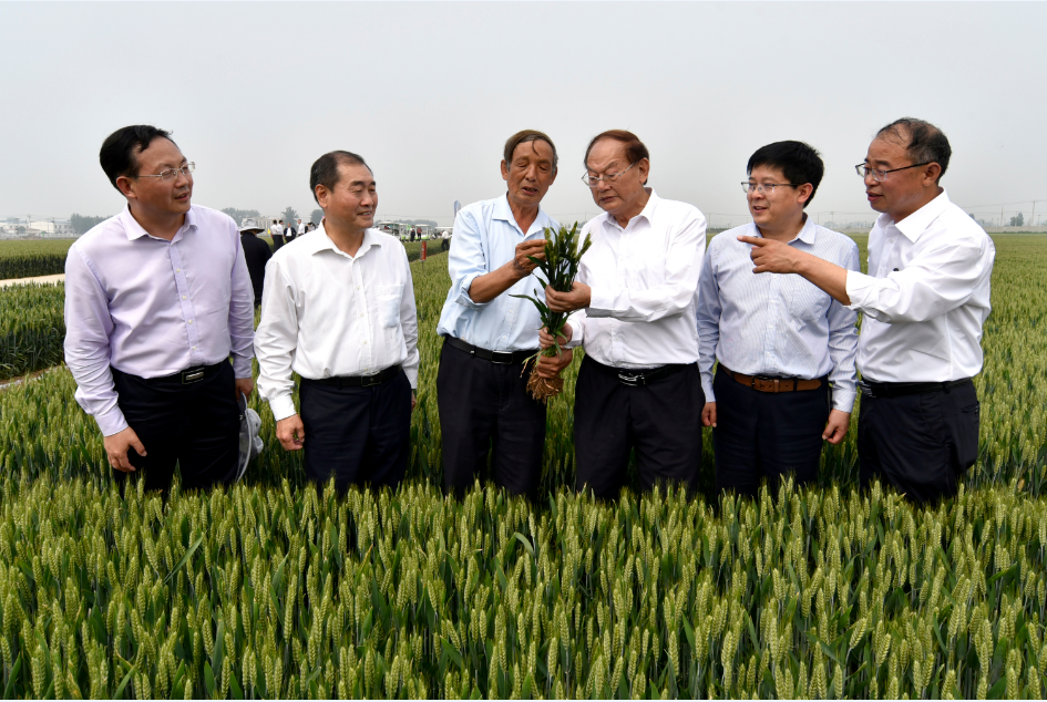 湖北甘蔗种植基地在哪里_湖北甘蔗叫什么名_湖北种植甘蔗致富