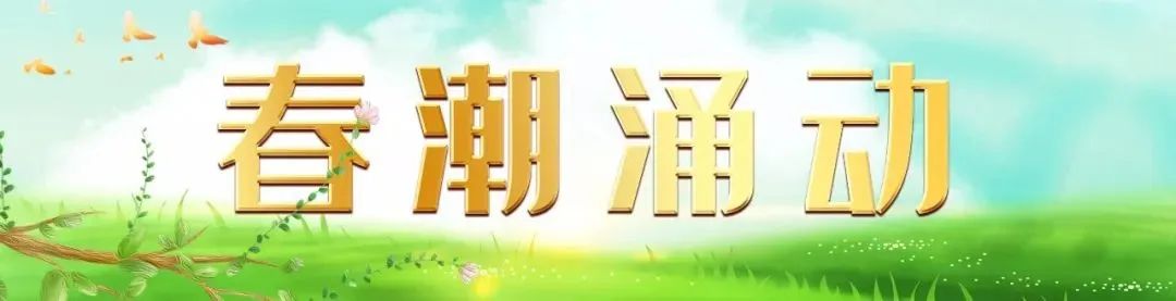 灵芝种植投资_种植灵芝赚钱吗_灵芝  种植 带领致富