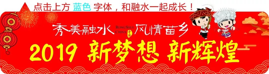灵芝里的致富经_灵芝种植投资_灵芝  种植 带领致富