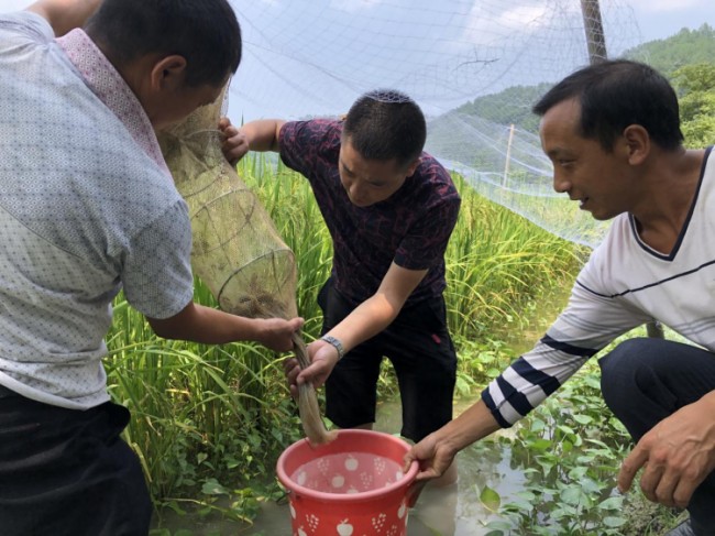 粮食养殖致富项目_致富粮食养殖项目招标_致富粮食养殖项目简介