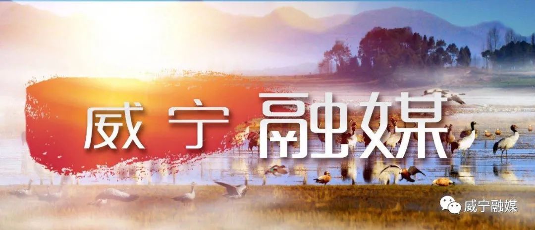 致富经芸豆种植_致富种植芸豆图片_芸豆种植
