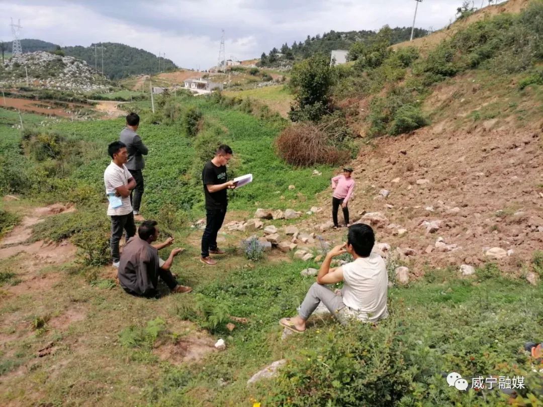 芸豆种植_致富种植芸豆图片_致富经芸豆种植