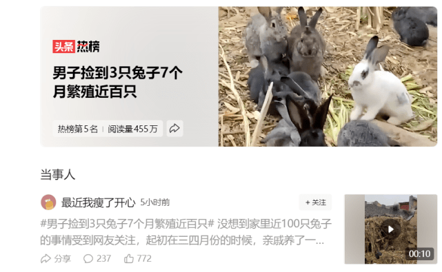兔养殖致富_致富经兔子养殖技术视频_致富经养兔致富视频
