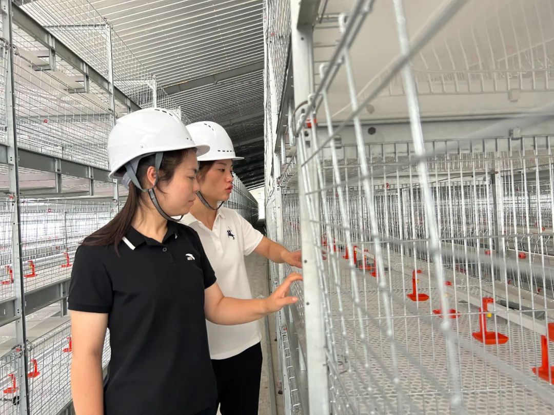 致富养殖小型项目招标_致富养殖小型项目有哪些_小型养殖项目致富