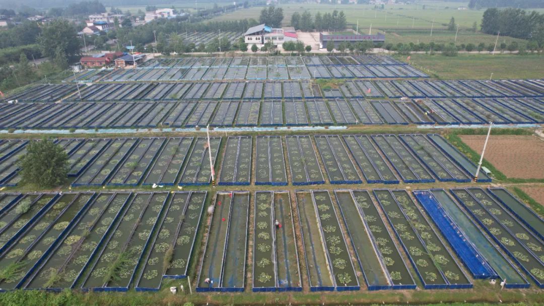 致富养殖小型项目招标_致富养殖小型项目有哪些_小型养殖项目致富