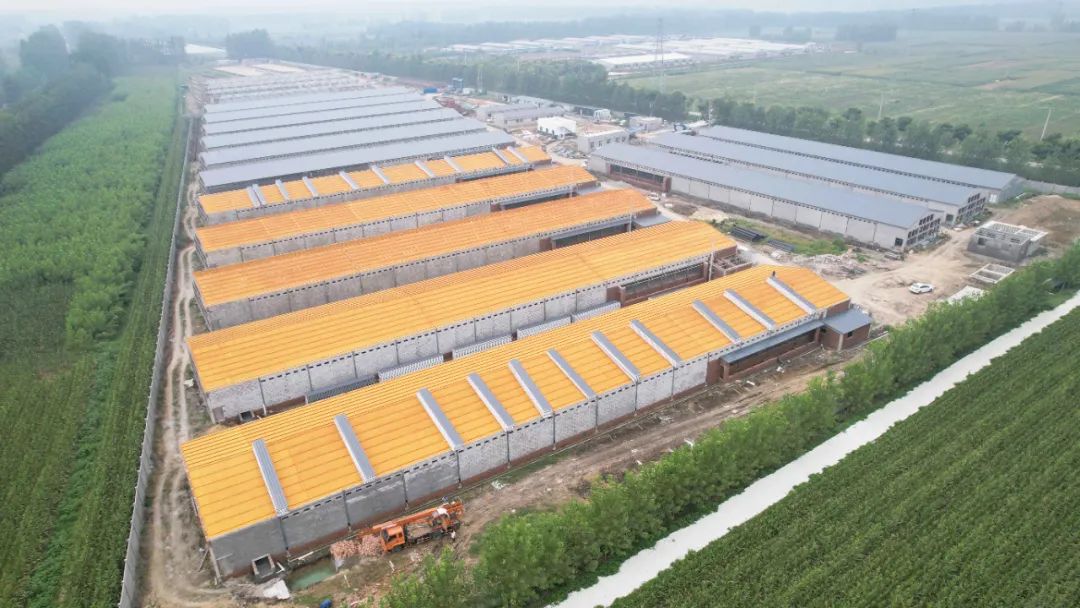 致富养殖小型项目招标_致富养殖小型项目有哪些_小型养殖项目致富