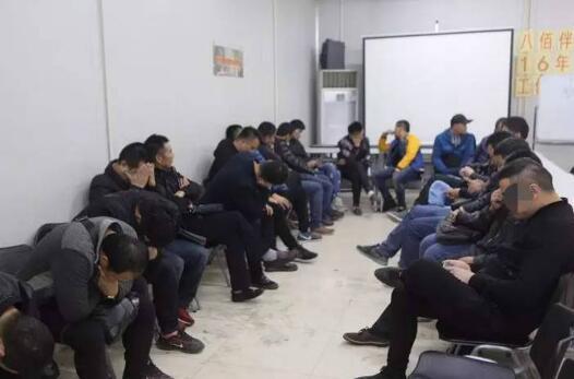致富经黄牛_致富经养殖黄牛_致富经土黄牛养殖视频