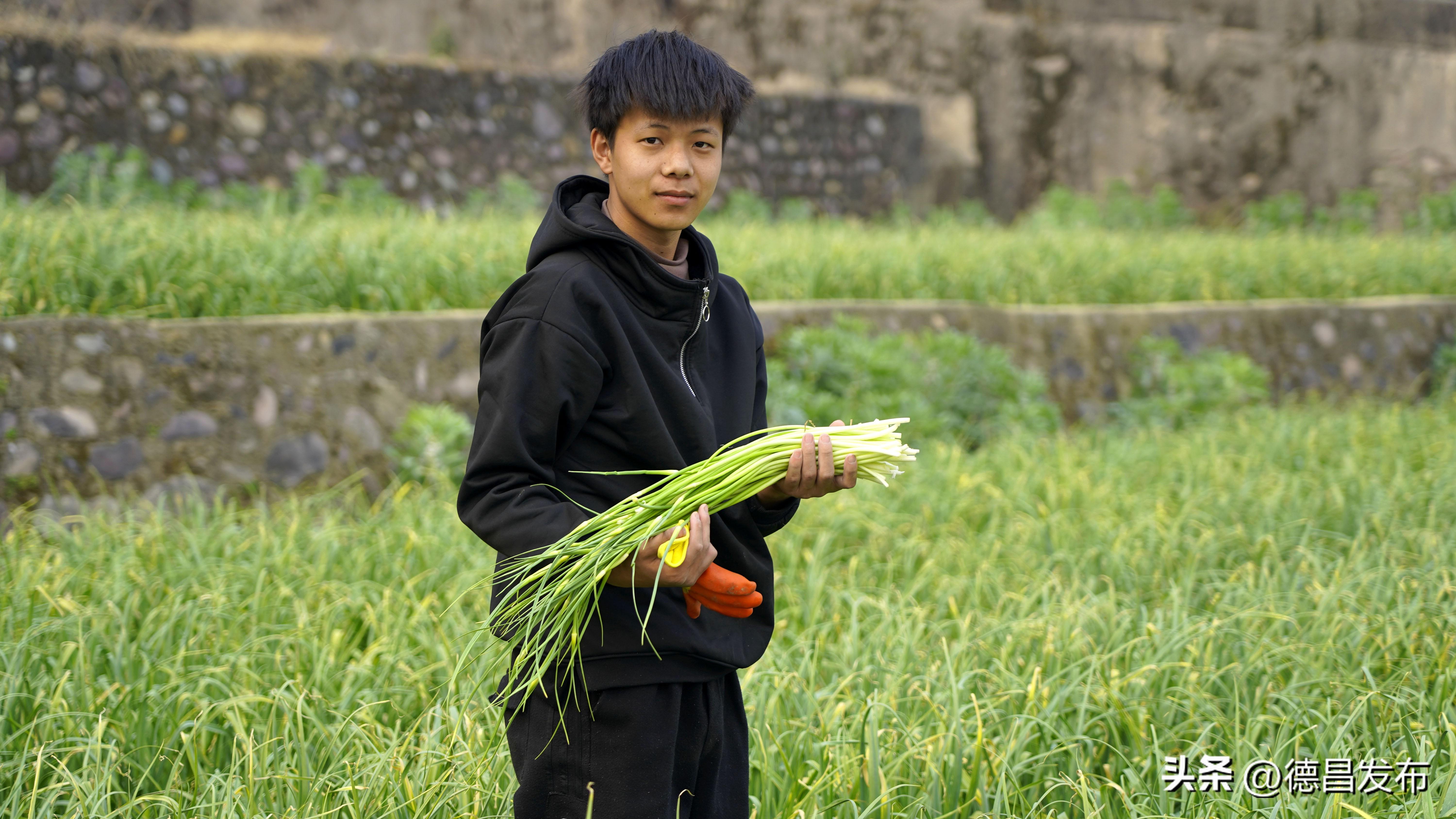 种蒜苔赚钱吗_致富种植蒜苔怎么样_种植蒜苔致富