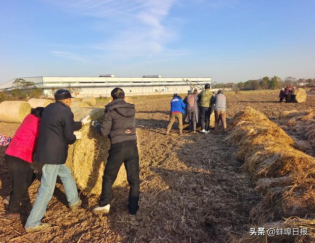 种植致富发言_农村种植致富能手发言稿_种植致富带头人发言稿