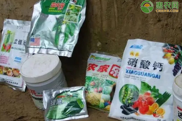 沙蚕加工_沙蚕养殖技术视频_致富经 沙蚕