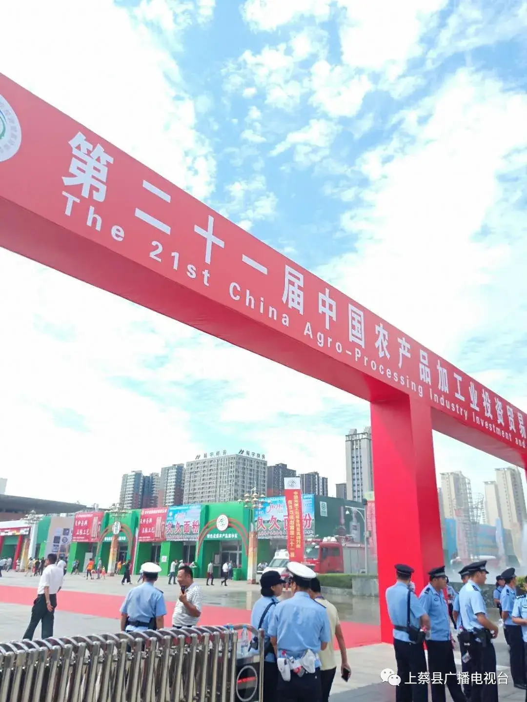 鸡喂黄粉虫_养黄粉虫养土鸡划算吗_致富经用黄粉虫养鸡