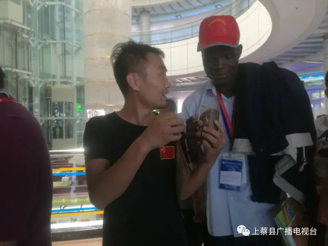 养黄粉虫养土鸡划算吗_鸡喂黄粉虫_致富经用黄粉虫养鸡