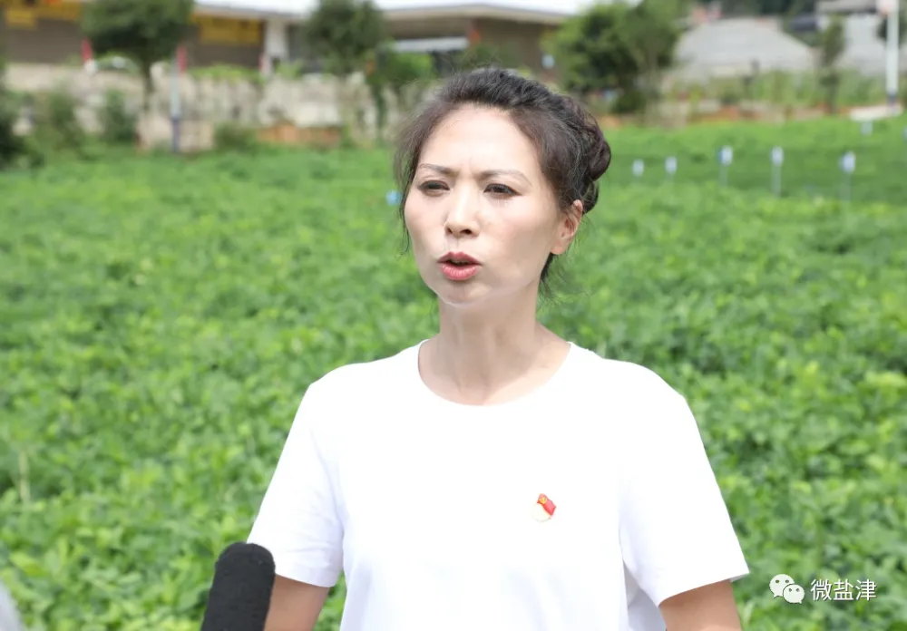 花生种植赚钱吗_致富经花生种植视频_致富经 花生