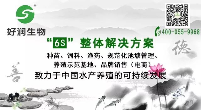 致富经养鲤鱼_2020年养殖锦鲤鱼能赚钱吗_致富经 养锦鲤鱼