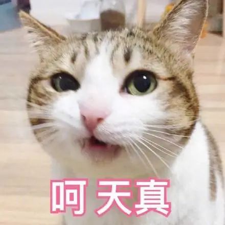 致富经万宁青蟹_致富万宁青蟹图片_致富经青蟹