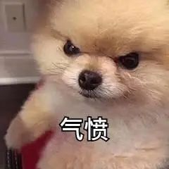 致富经青蟹_致富万宁青蟹图片_致富经万宁青蟹
