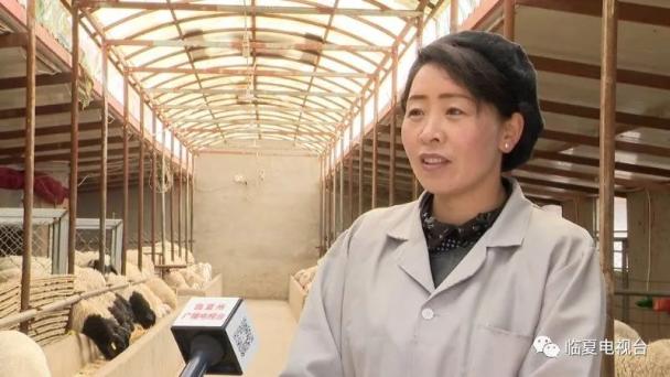 视频致富养殖斑鸠在线观看_斑鸠养殖致富视频_视频致富养殖斑鸠全集