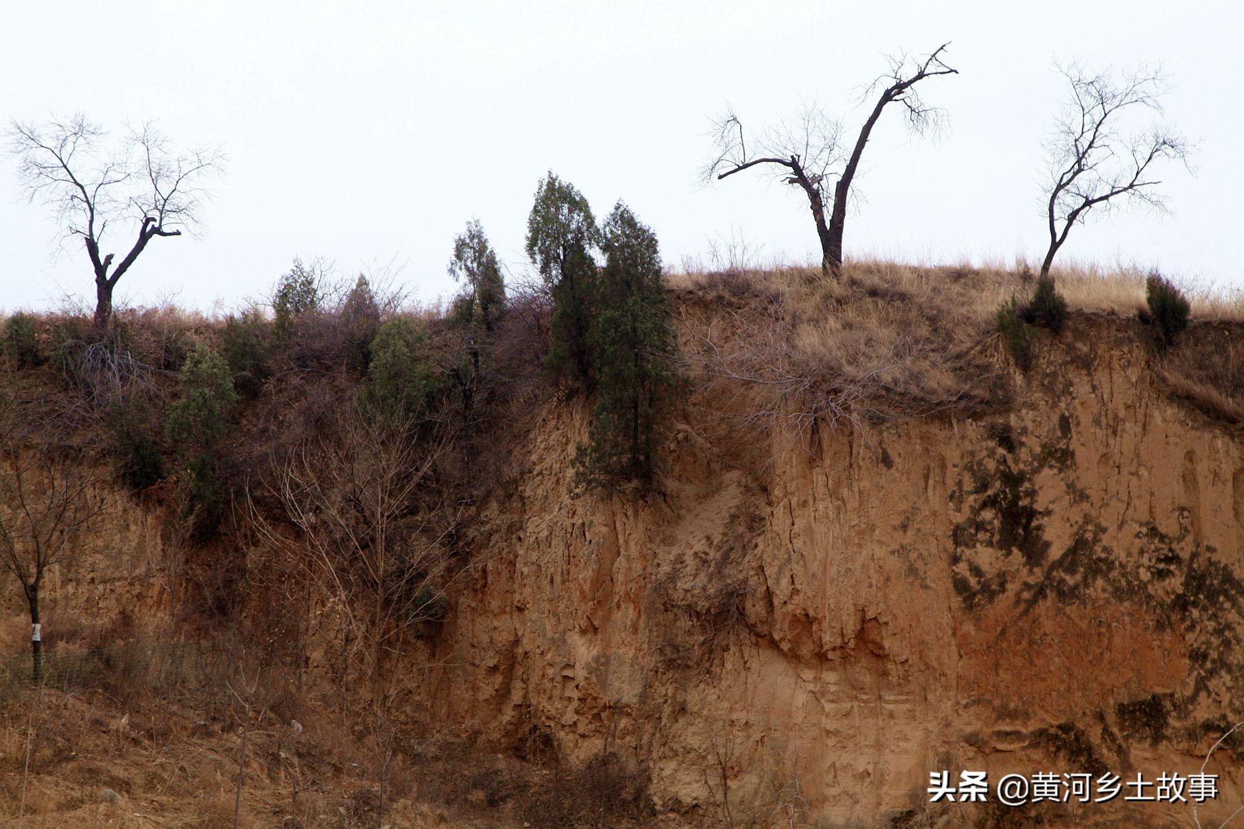 养兔子挣钱是什么软件_致富经养兔子能不能赚钱_养兔挣钱