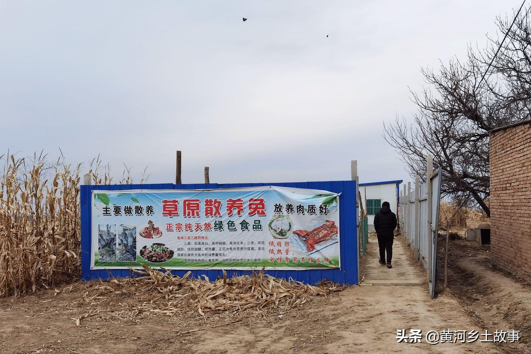 养兔子挣钱是什么软件_养兔挣钱_致富经养兔子能不能赚钱