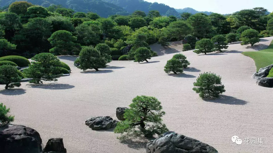 黑山金边龟饲养_金边黑山龟的养殖技术_金边黑山龟苗