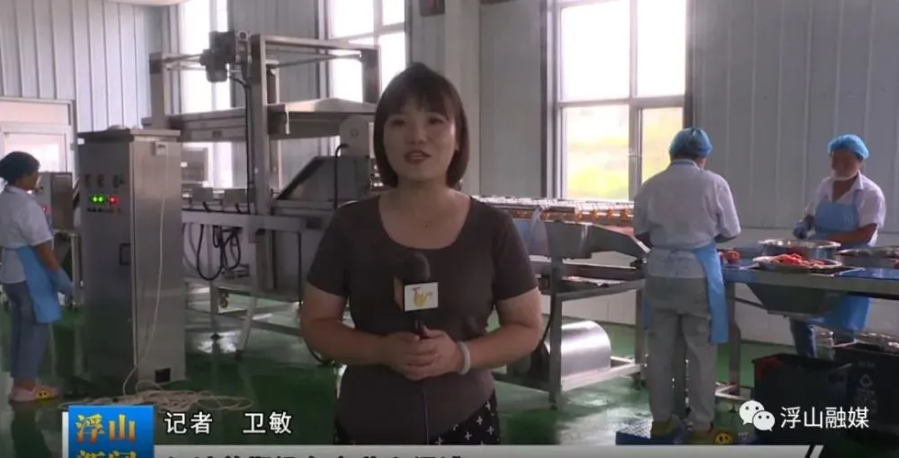 致富番茄种植小程序下载_种植番茄挣钱吗_种植小番茄致富