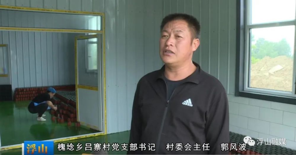种植小番茄致富_致富番茄种植小程序下载_种植番茄挣钱吗