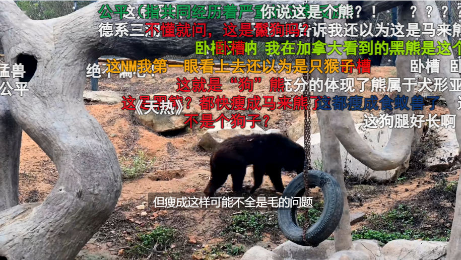 致富养殖犀牛赚钱吗_犀牛养殖致富_致富养殖犀牛视频