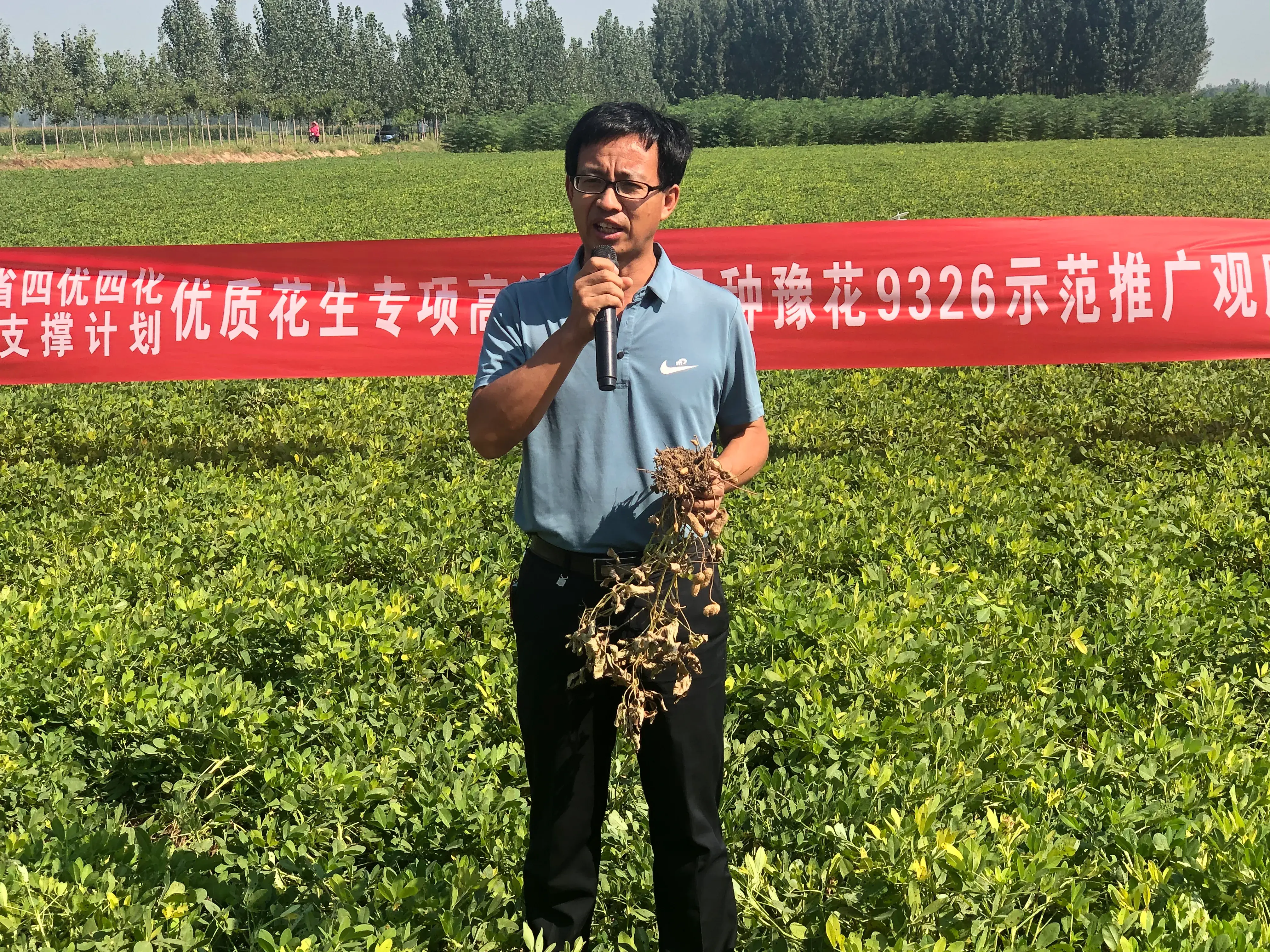 优质作物推广成效及经验_推广农作物_成效作物优质推广经验总结