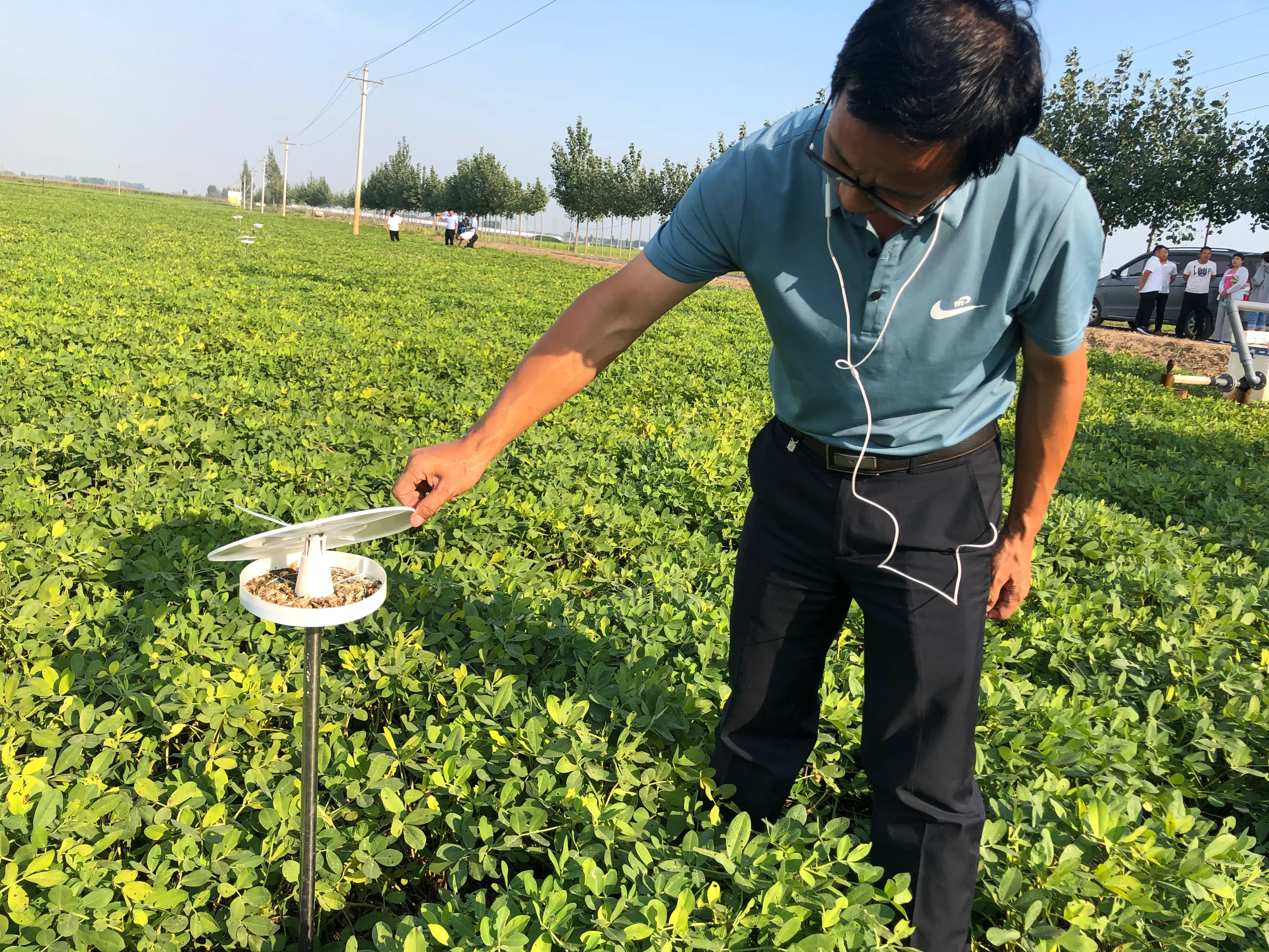 推广农作物_成效作物优质推广经验总结_优质作物推广成效及经验