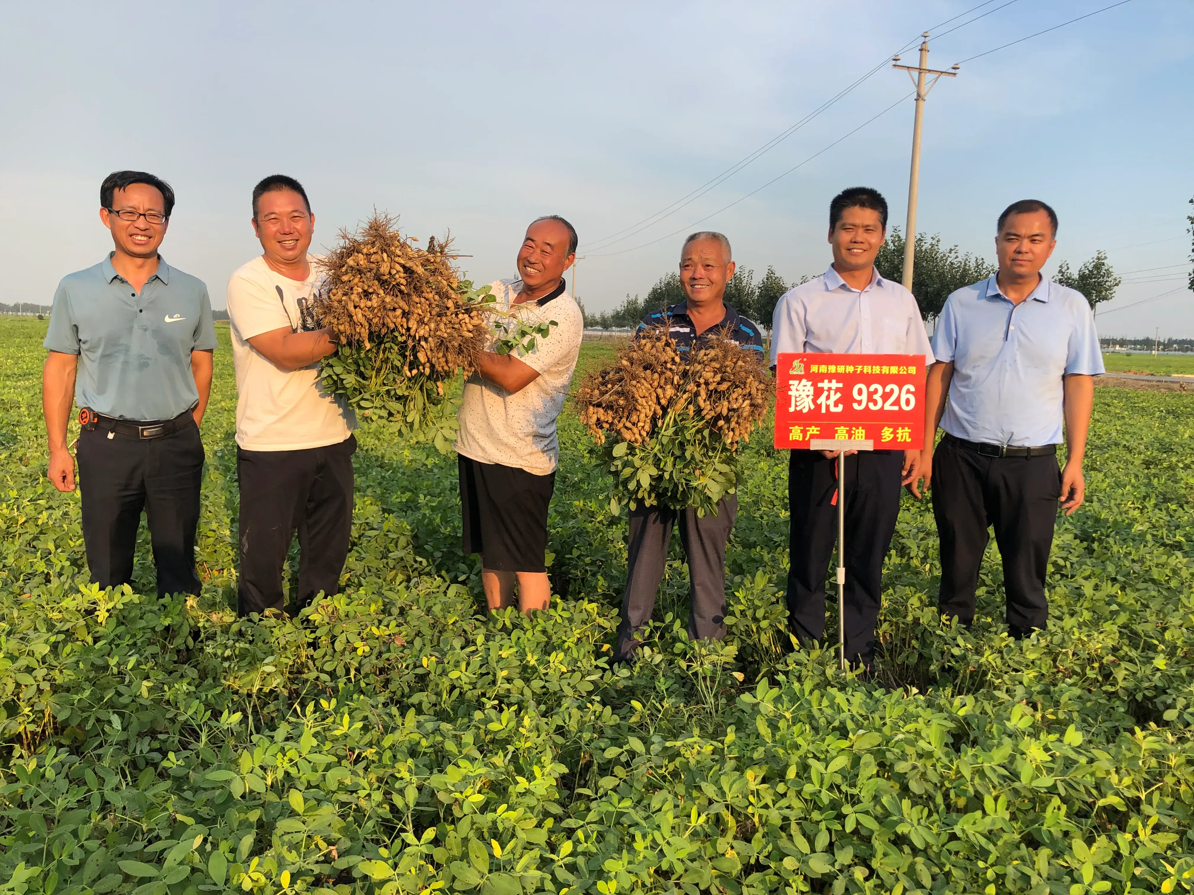优质作物推广成效及经验_成效作物优质推广经验总结_推广农作物