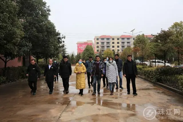 胡蜂养殖技术指导资料_师宗养殖技术胡蜂_胡蜂养殖技术培训