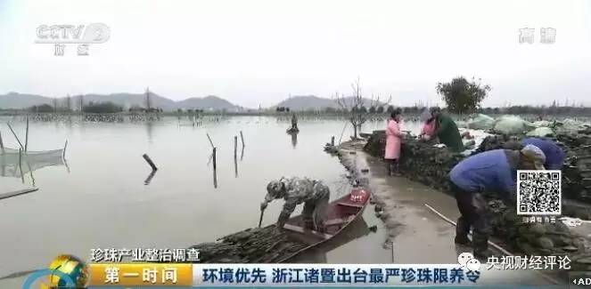 养殖致富经_生态养殖致富攻略_致富养殖信息