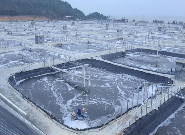 水产养殖草鱼消毒技术_消毒养殖水产草鱼技术视频_消毒养殖水产草鱼技术要求