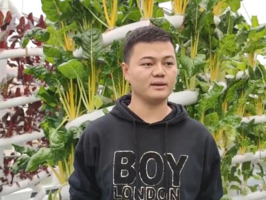 致富经养野蜂_致富经杀人蜂怎么养_致富经养蜜蜂致富视频