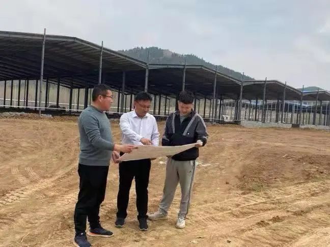 致富经养蜜蜂致富视频_致富经养野蜂_致富经杀人蜂怎么养