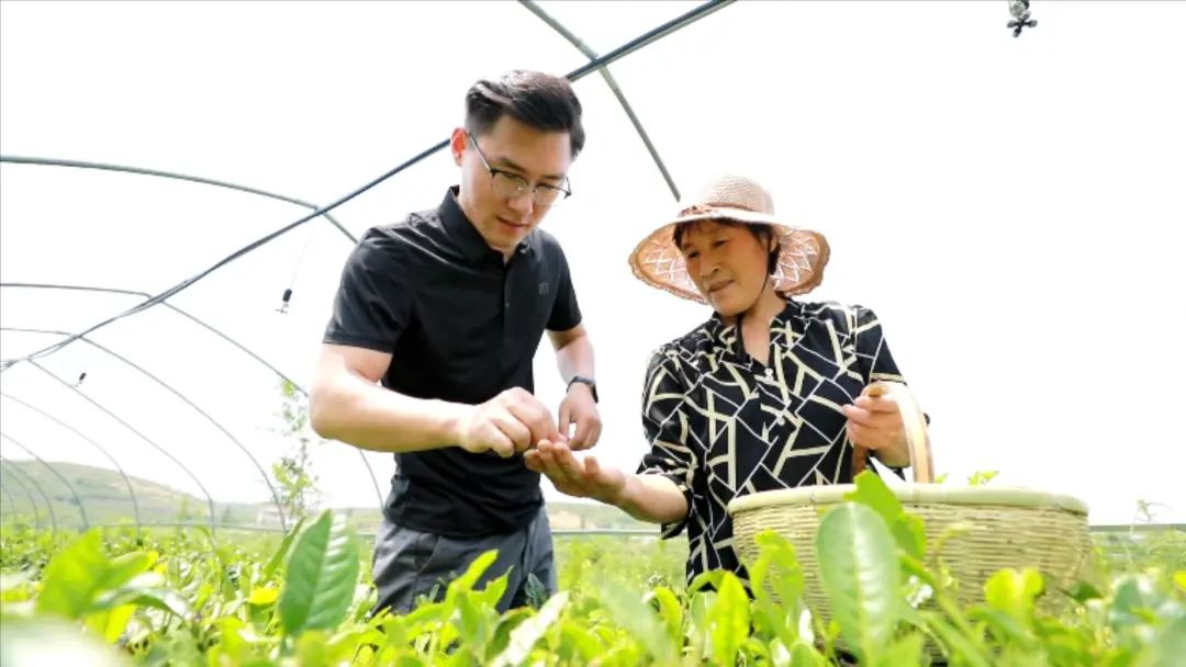 致富经杀人蜂怎么养_致富经养野蜂_致富经养蜜蜂致富视频