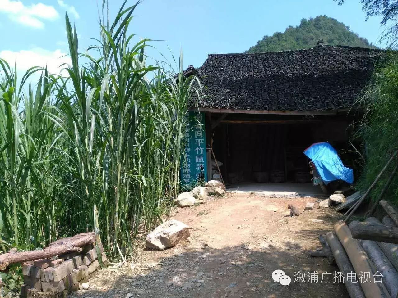 新闻致富养殖事件发展报道_致富养殖信息_发展养殖致富的新闻事件