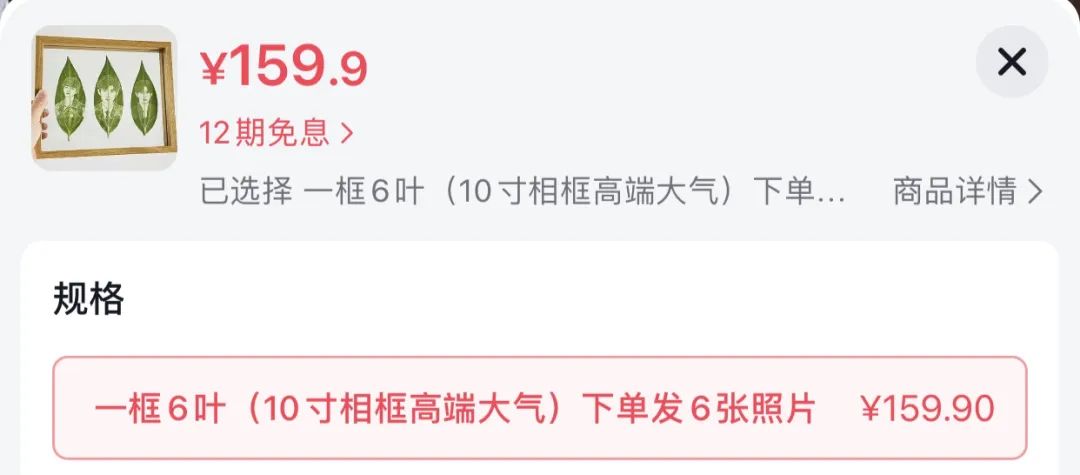 靠树叶致富_致富树叶种植图片_种植致富的树叶