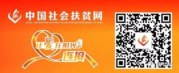 发展养殖致富的新闻事件_致富养殖业_新闻致富养殖事件发展报道