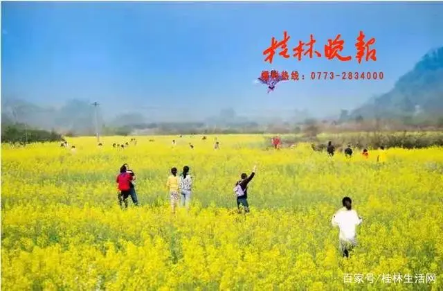 种花致富选什么品种_种植花卉致富典型_花卉致富典型种植方式