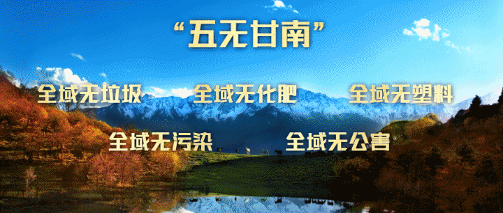 蚕豆高产种植技术_高产种植蚕豆技术要点_蚕豆高产栽培