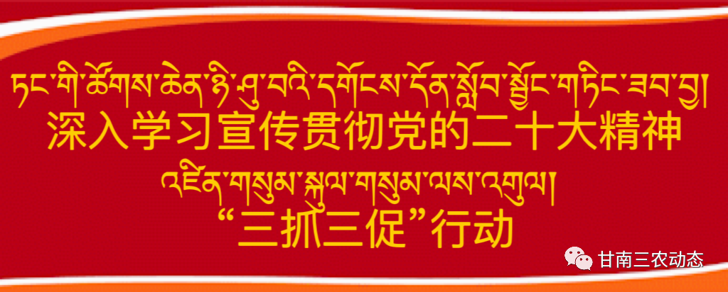 蚕豆高产栽培_蚕豆高产种植技术_高产种植蚕豆技术要点