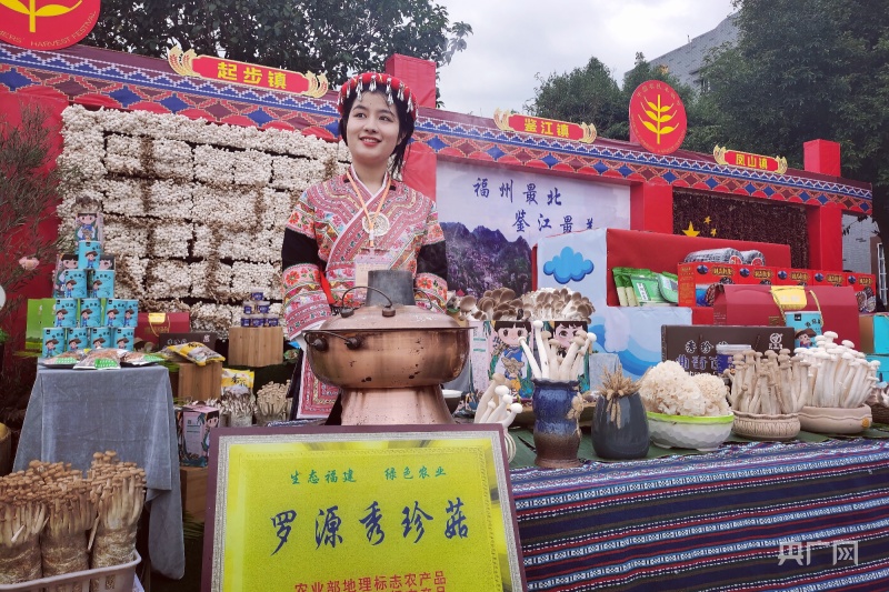 乡村振兴看福建|起步镇：菌菇撑起畲乡“致富伞”