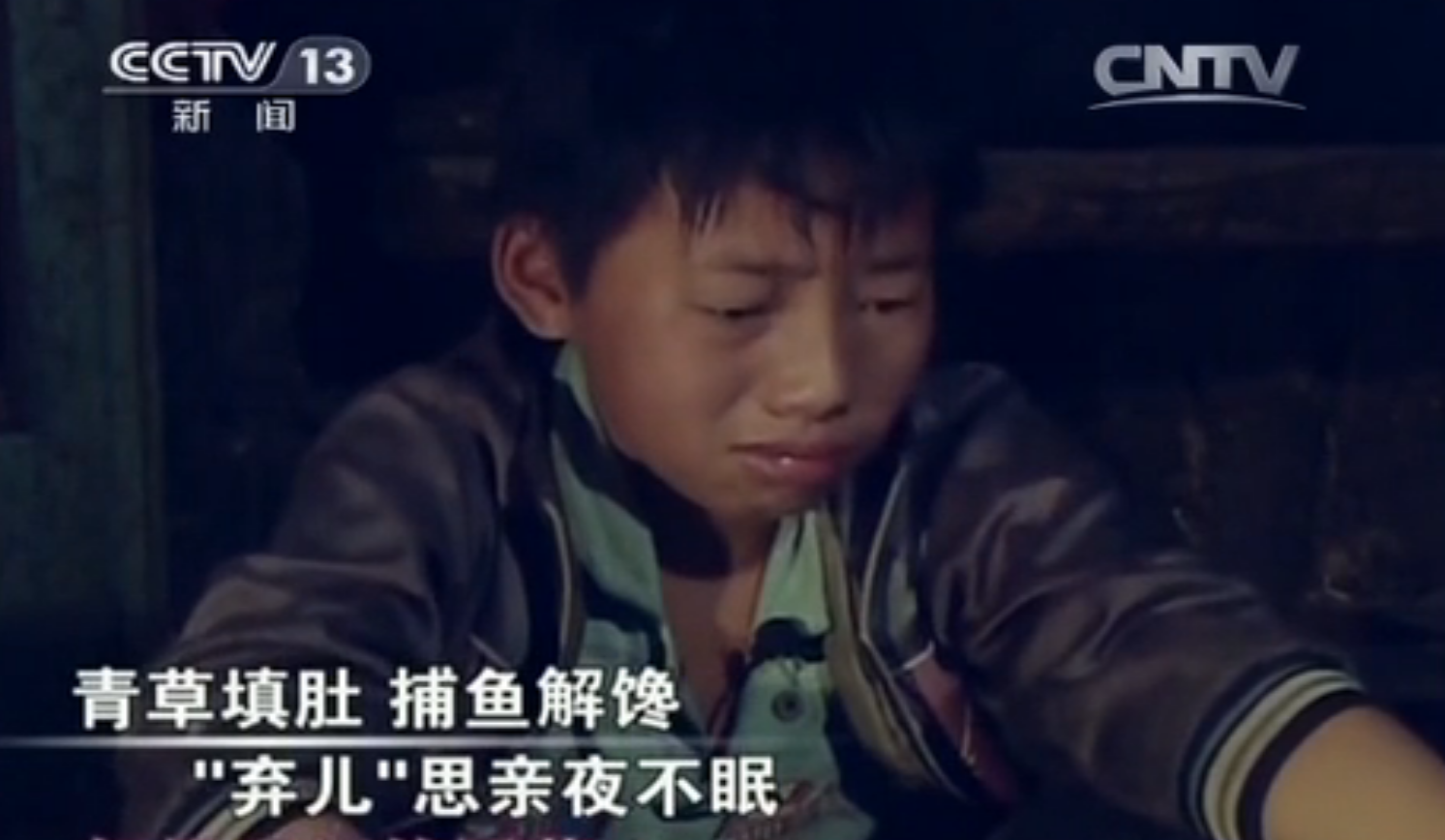 蚯蚓养殖致富事迹_致富事迹养殖蚯蚓怎么写_致富经养殖蚯蚓