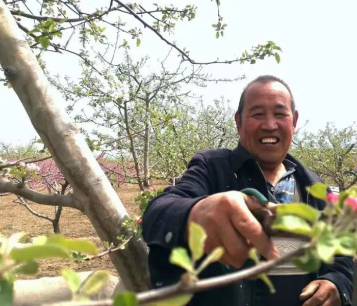 致富种植视频全集_种植致富宝典_致富课堂种植
