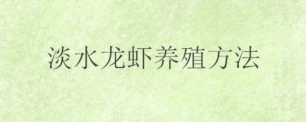 龙虾4