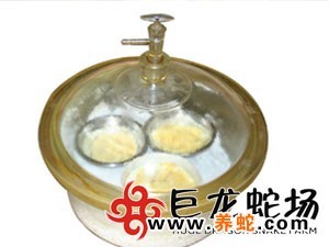 无毒蛇养殖的利润与风险_无毒蛇养殖技术_无毒养殖蛇技术要求
