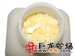无毒蛇养殖技术_无毒蛇养殖的利润与风险_无毒养殖蛇技术要求