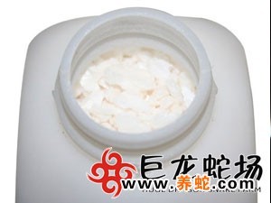 无毒蛇养殖的利润与风险_无毒养殖蛇技术要求_无毒蛇养殖技术